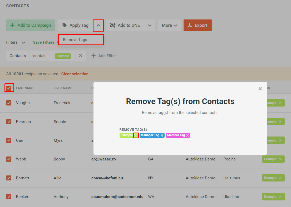 Create, Apply, or Remove Autoklose Tags - 12 - Bulk removal.png